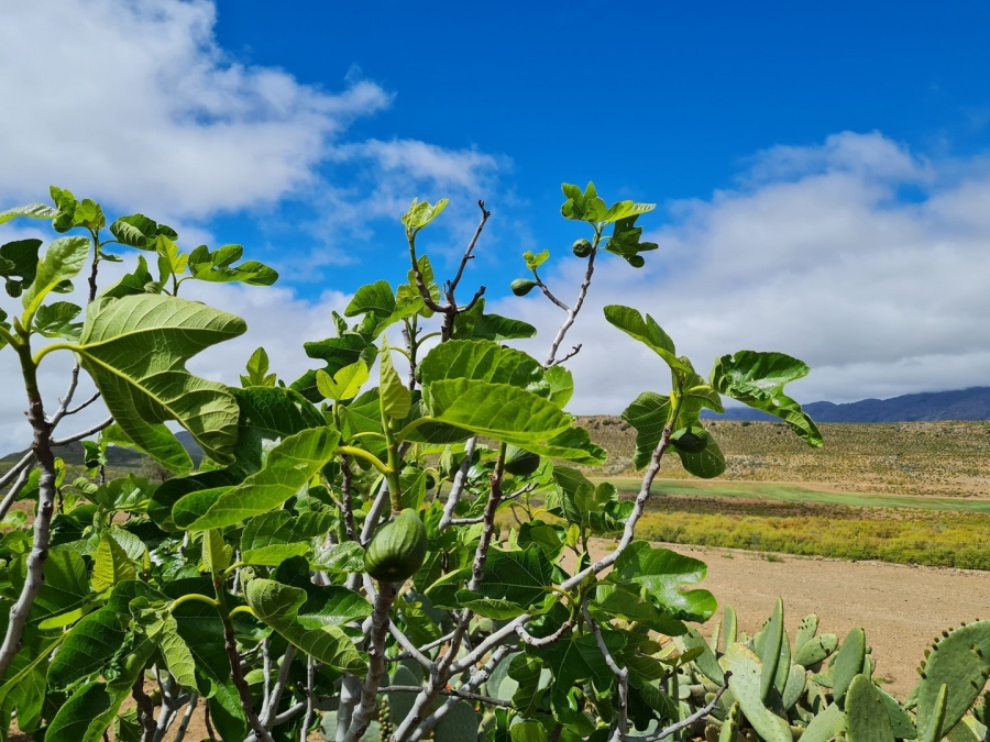 Commercial Property for Sale in Montagu Rural Western Cape